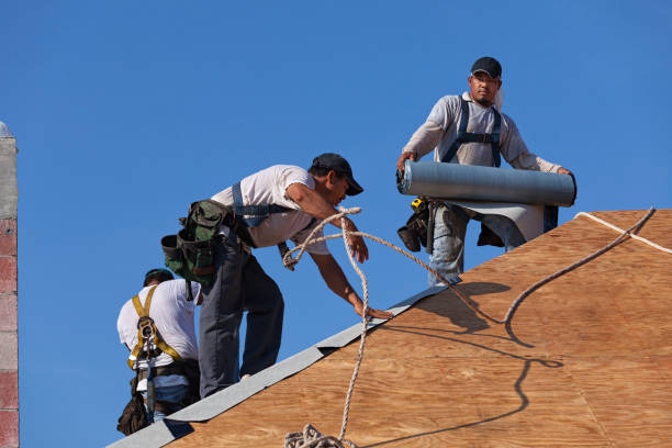 Best Roof Gutter Cleaning  in Richmond, CA
